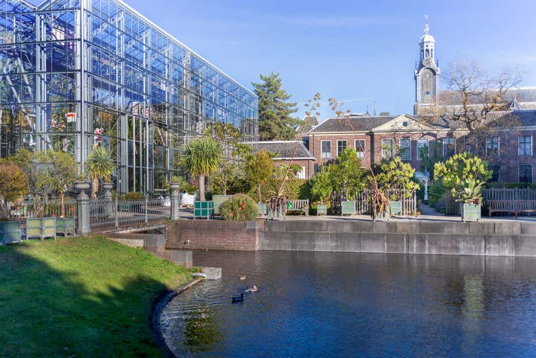 Conoceremos la historia del Barrio Judío de Ámsterdam