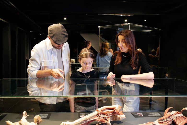 Aprendendo durante a exposição
