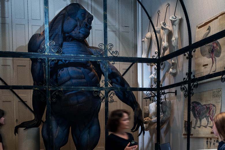 Você poderá ver um gorila no Art Zoo Museum