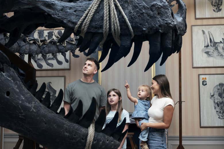 Come visit this museum that's perfect for the family!