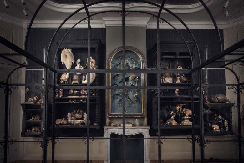 Explore the different rooms