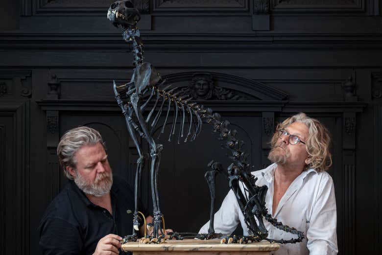 Look at the fascinating artworks