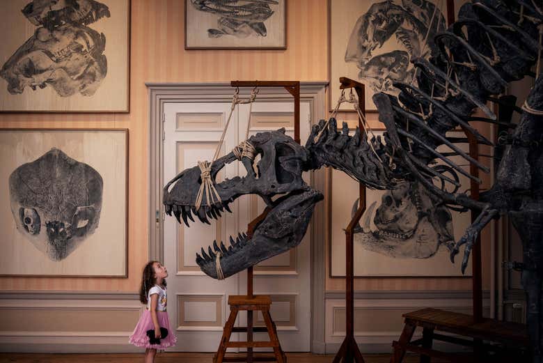 O T-Rex do Art Zoo Museum