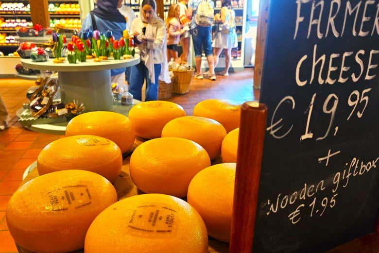 Live demonstration making of Dutch cheese with free cheese tasti