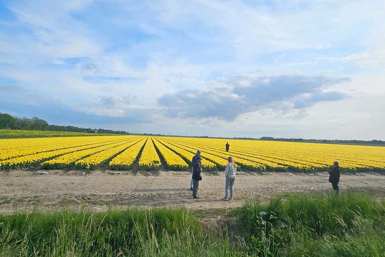 During April and early May tulip season we could make a photo st