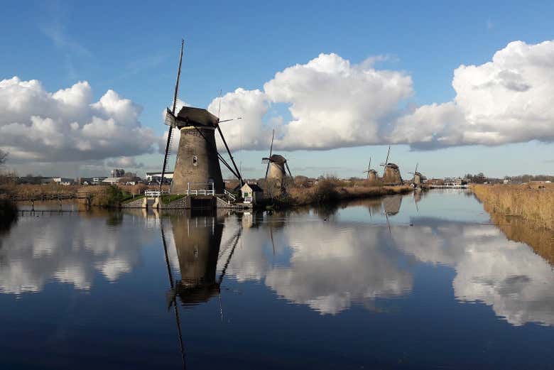 Excursión a los molinos de Kinderdijk