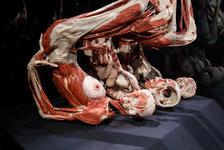 Conhecendo a exposição