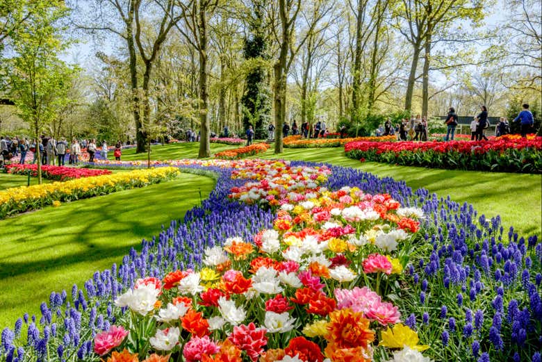 Exploring the Keukenhof Gardens