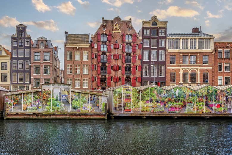 Visitez le marché aux fleurs d'Amsterdam