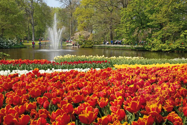 A fountain in the gardens