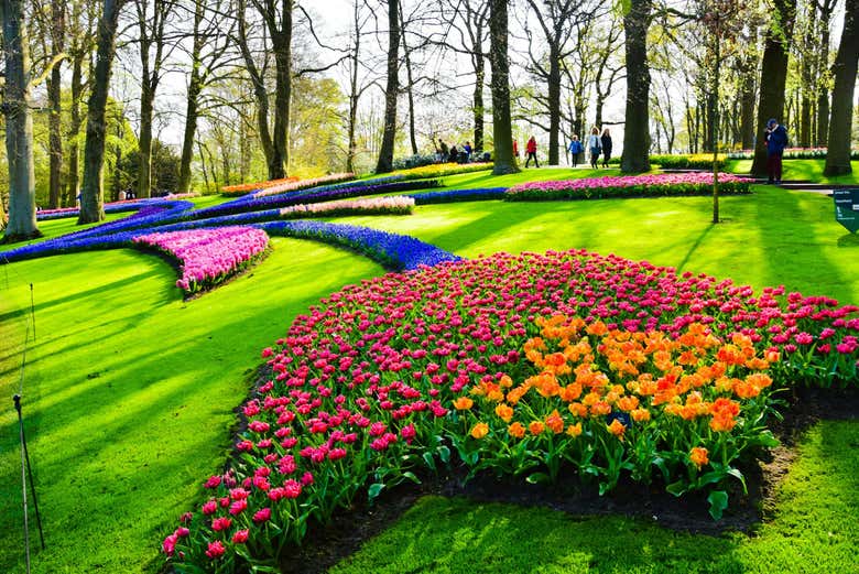 Los preciosos jardines de Keukenhof