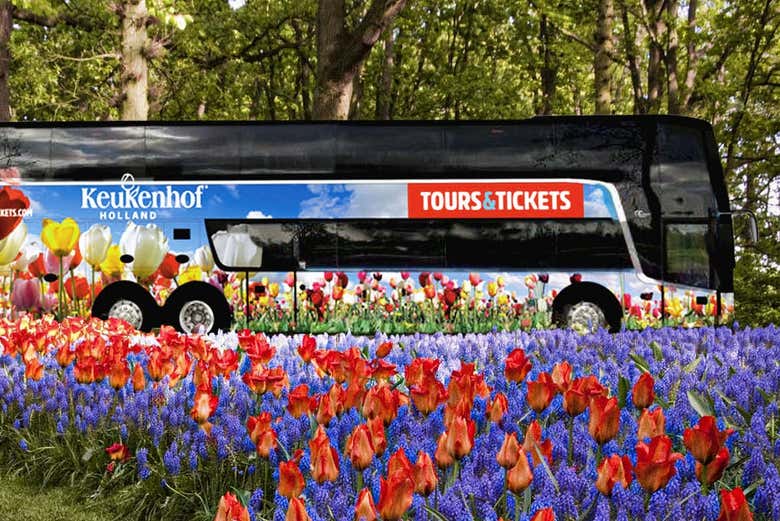 Taking the bus to the Keukenhof Gardens