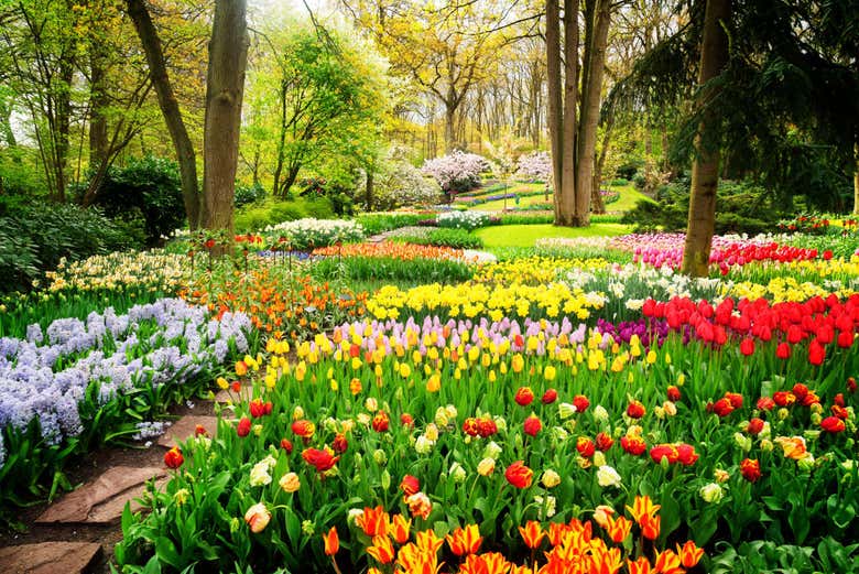 Visit the most famous tulip garden in the Netherlands