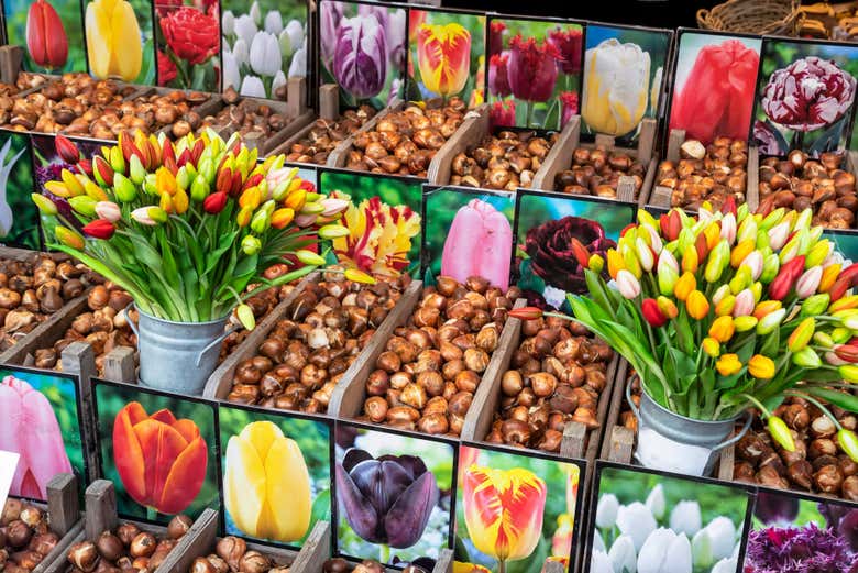 Mercato die fiori