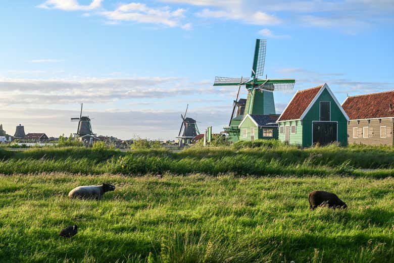 Disfrutaréis de un paisaje increíble