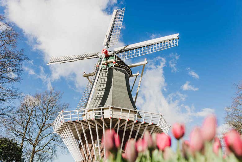 Tulipanes y molinos de Keukenhof