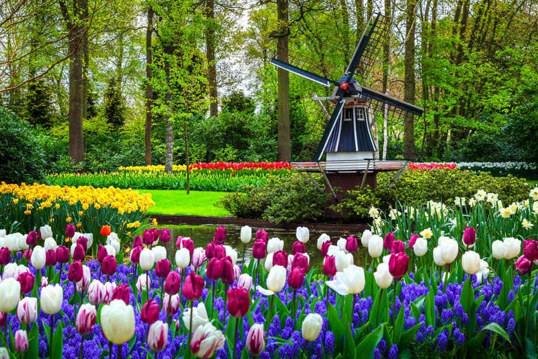 Enjoy beautiful landscapes