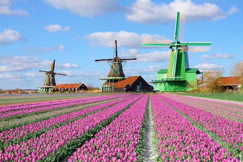 Molinos de Zaanse Schans