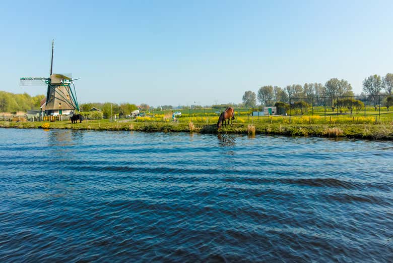 Les lacs de Kaag sont célèbres pour leurs moulins à vent