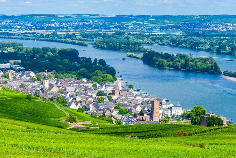 Rüdesheim am Rhein
