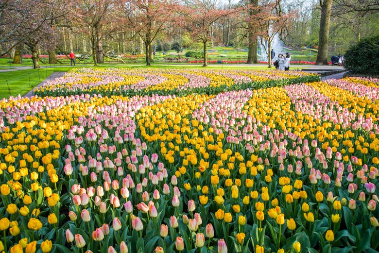También notaréis el aroma de todas las flores