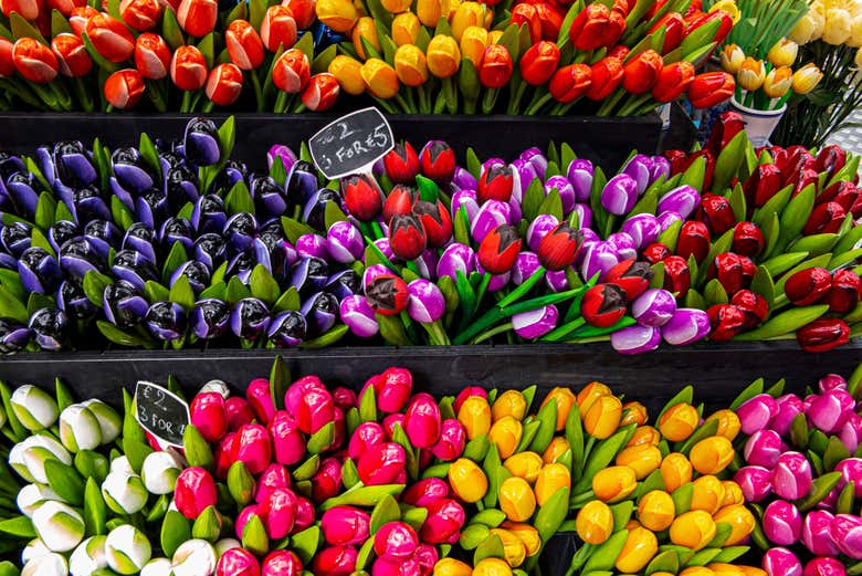 I tulipani olandesi del mercato