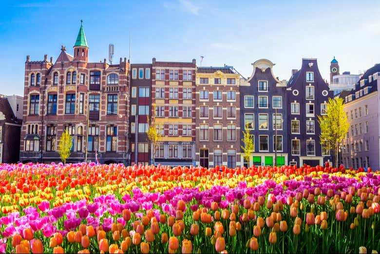 Découvrez l'histoire de la capitale néerlandaise