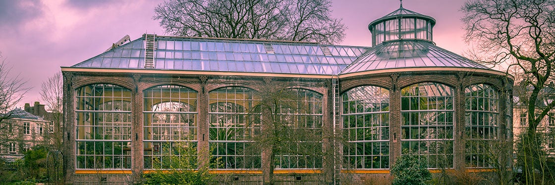 Orto Botanico di Amsterdam