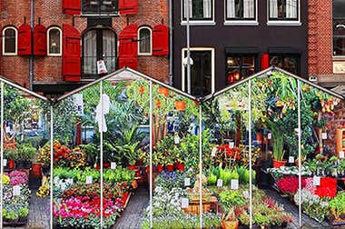 Mercato dei Fiori