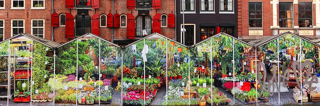 Mercado das flores de Amsterdam