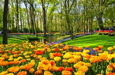 Ônibus e ingresso do Keukenhof + Passeio de barco pelos lagos Kaag