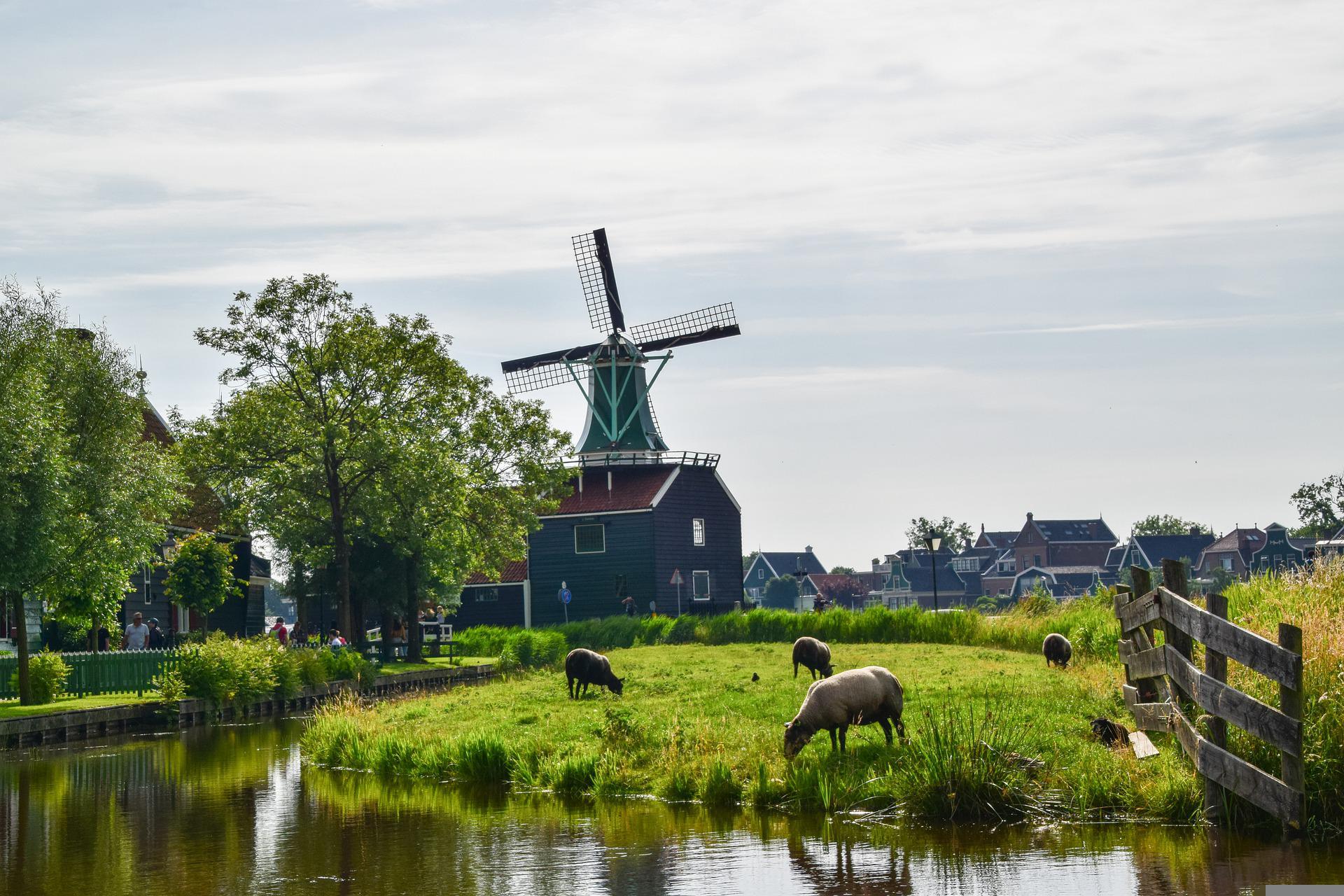 Excursion à Haarlem, Zaanse Schans et Volendam