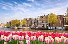 ¿Escala en Ámsterdam? Tour privado desde el aeropuerto