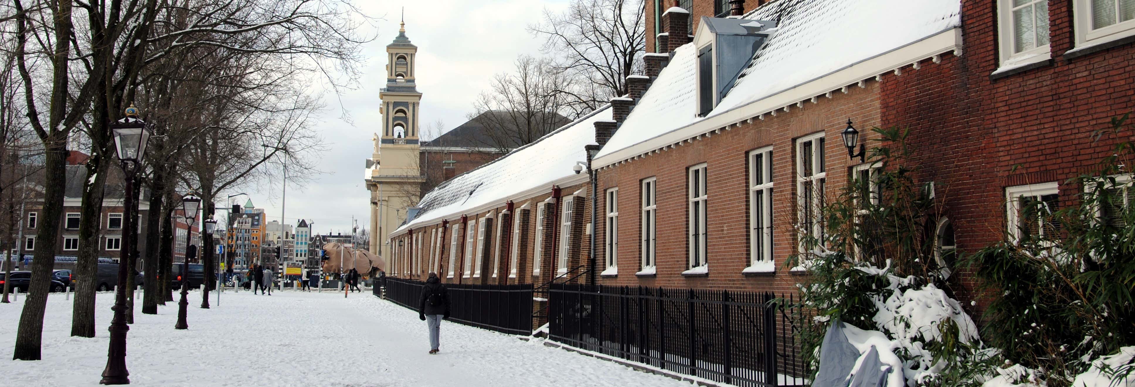 Visitas guiadas y free tours en Ámsterdam