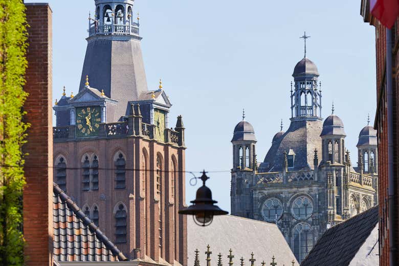 Disfrutando de las vistas 