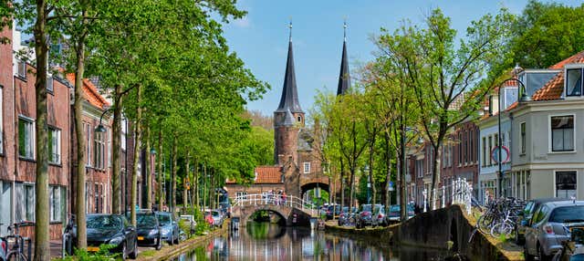 Free tour por Delft