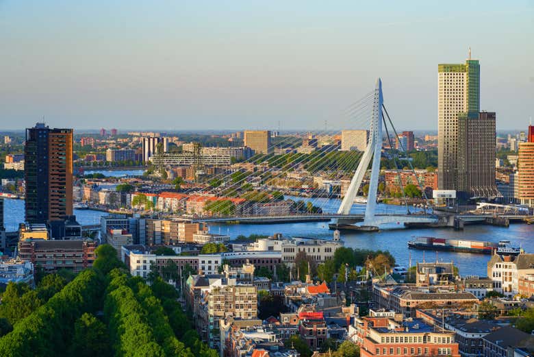 Take in the views of Rotterdam