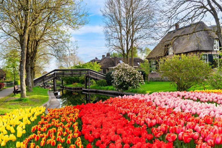 Flores coloridas en uno de los canales de Giethoorn