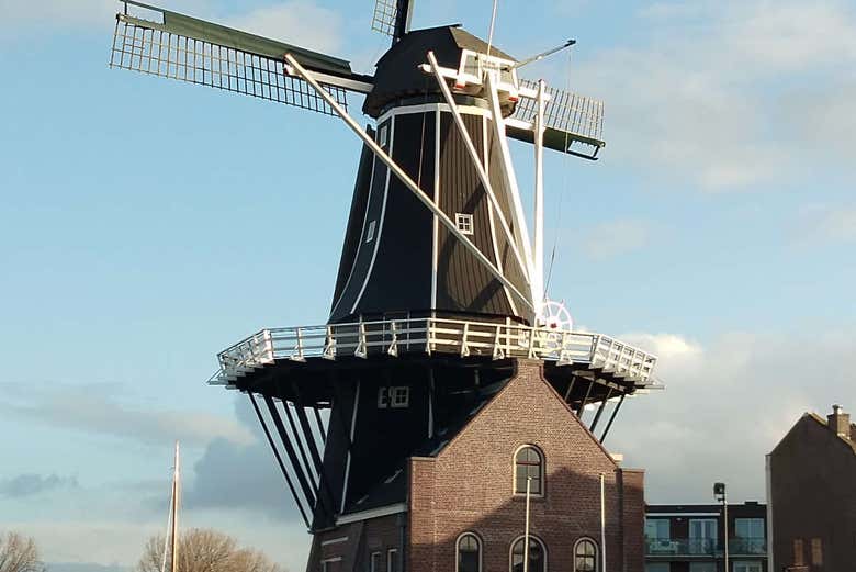 The main mill in Haarlem