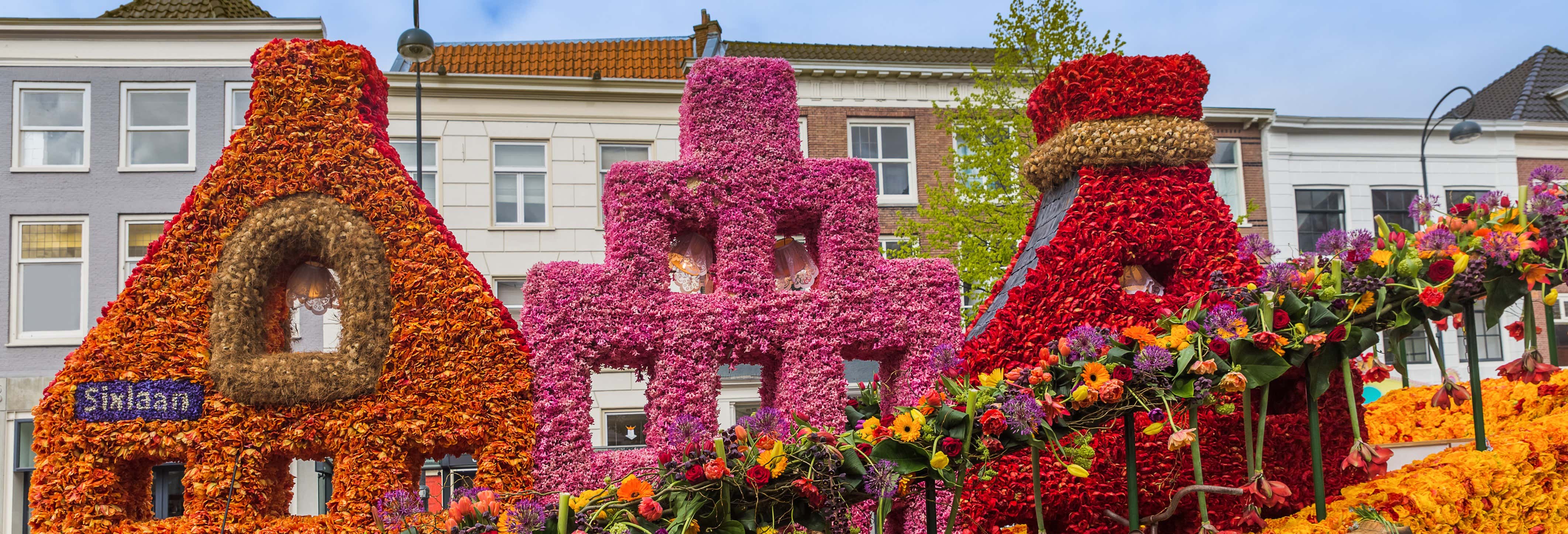 Visitas guiadas y free tours en Haarlem