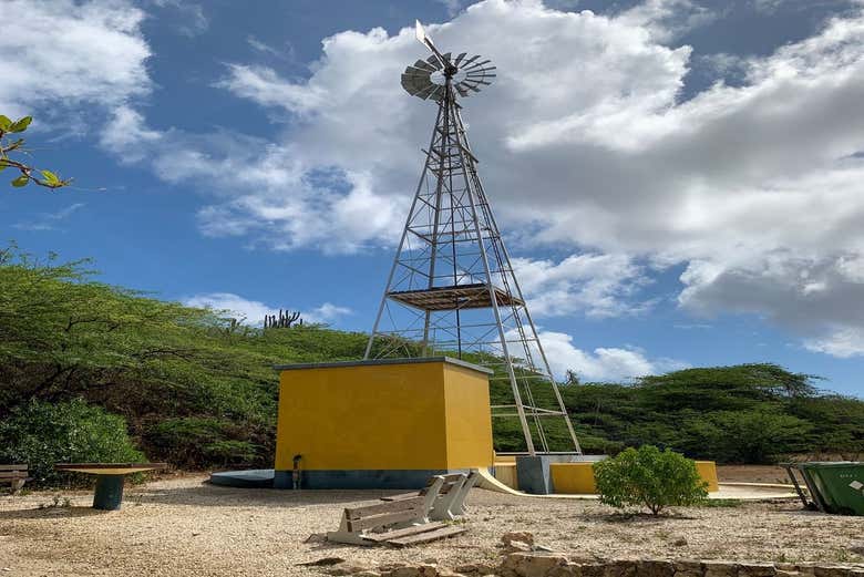 Nei pressi di Rincón, Bonaire