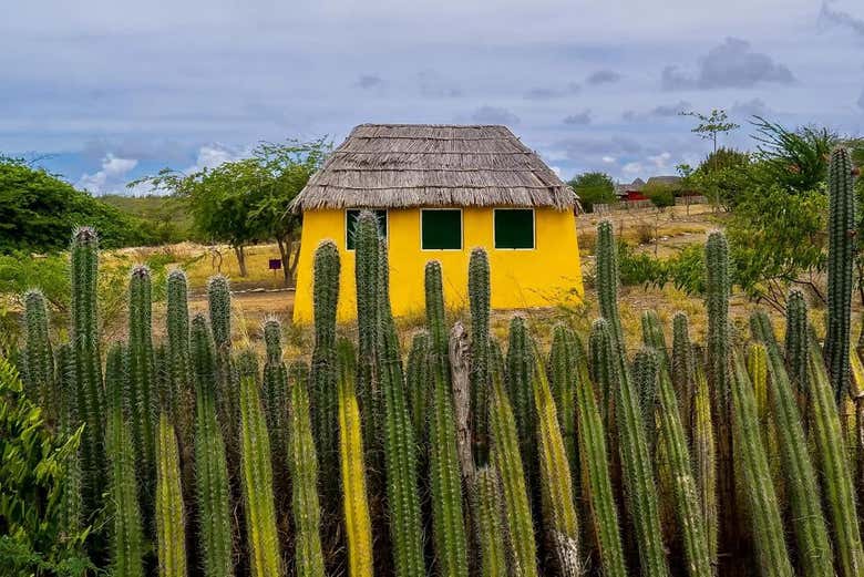 Casas antigas
