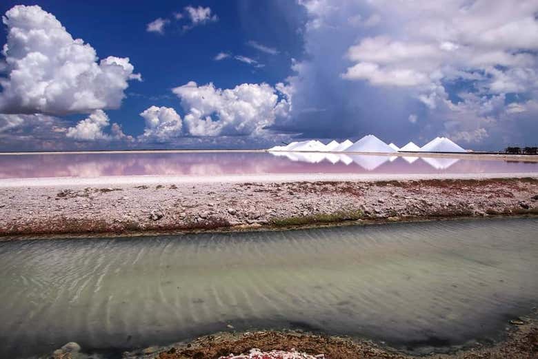 Gli incredibili contrasti di colori delle saline di Bonaire
