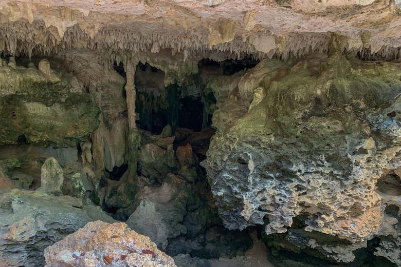 Vedremo l'ecosistema che si è formato fra le rocce