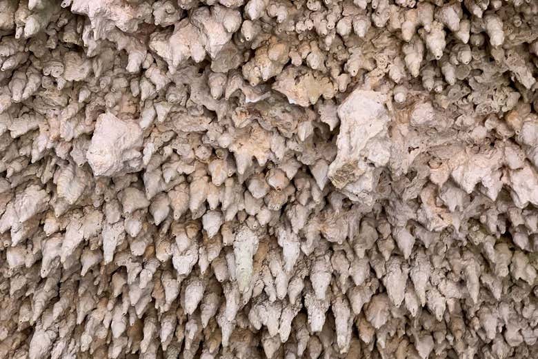 Le formazioni naturali delle grotte di Bonaire
