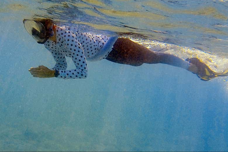 Desfrutando do snorkel em Bonaire