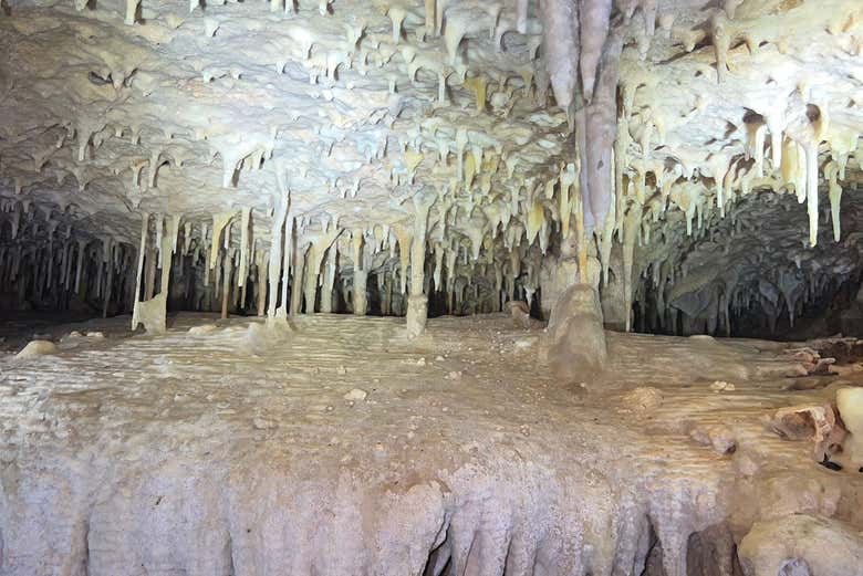 Vous découvrirez la géologie étonnante des grottes