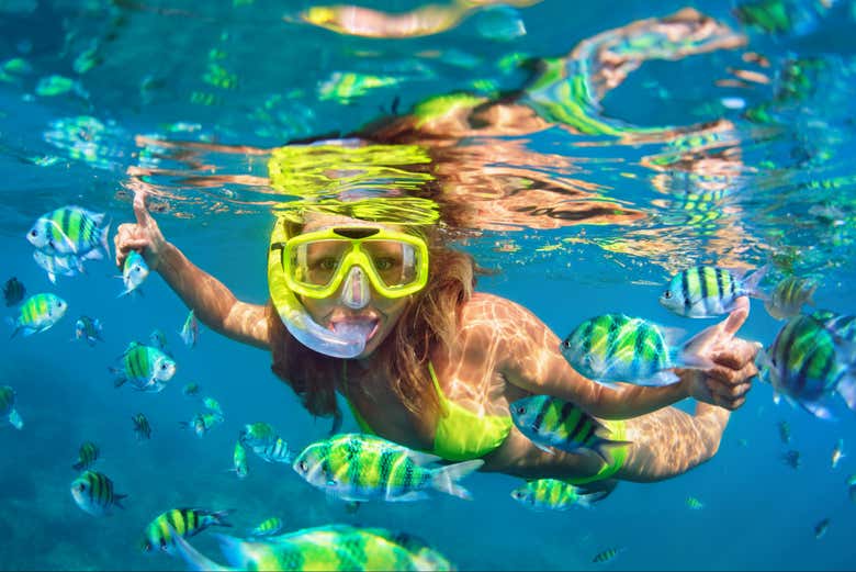 Practicando snorkel entre peces tropicales