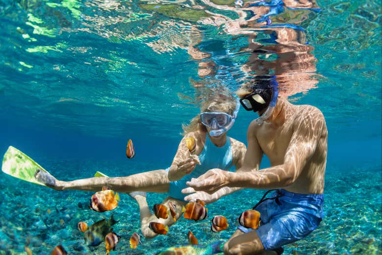 Practicando snorkel en Bonaire