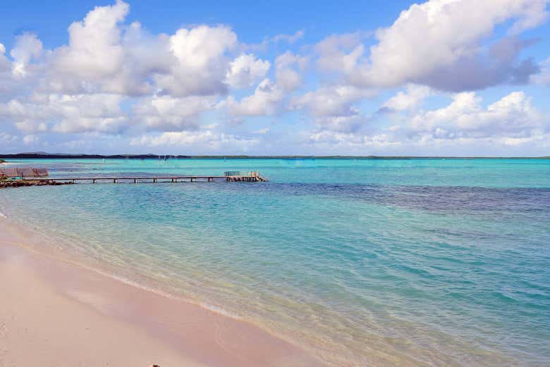 Le incantevoli spiagge di Bonaire